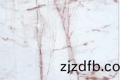 桃(tao)林暎雪(xue)